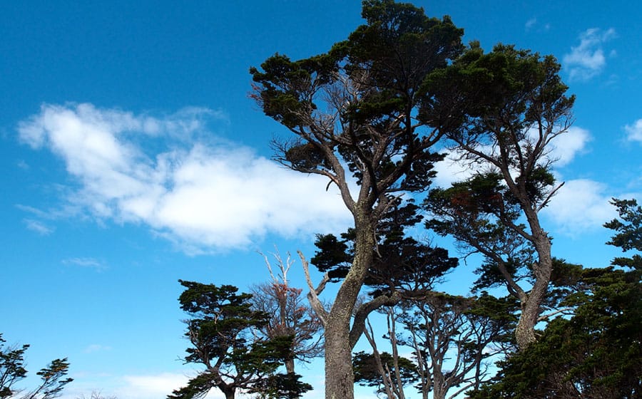 Fuerte Bulnes - Imagen 2